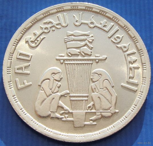 Египет. 1 фунт 1981 года  KM#532   "FAO"  Тираж: 50.000 шт