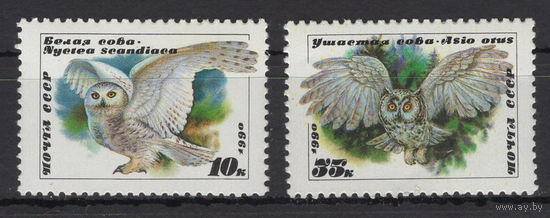 СССР 1990 Фауна Птицы Совы