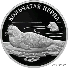 Красная книга: Кольчатая нерпа (ладожский подвид)