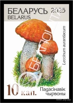 Беларусь 2025г 18-й стандартный выпуск. Падасiнавiк чырвоны (самокл. )MNH