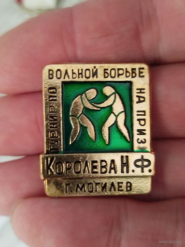 Турнир по вольной борьбе