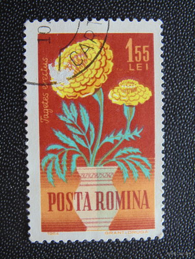 Румыния 1964 г. Цветы.