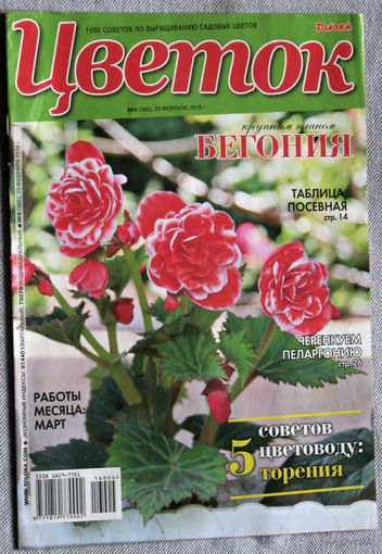 Цветок номер 4 2016