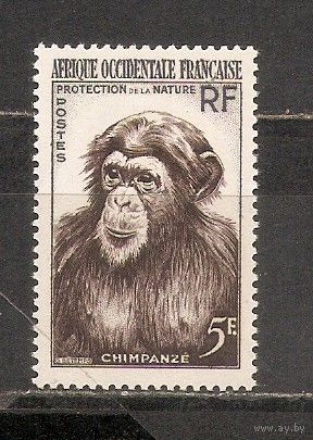 ФФ1 Французская Западная Африка 1955 Шимпанзе Фауна