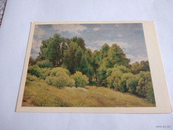 Открытка 1983г. И.Шишкин. Полянка.