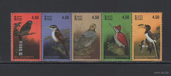 Фауна Птицы Шри-Ланка 2003 Тропические птицы острова Шри-Ланка