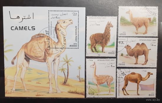 Афганистан. 1997 год. Фауна. Верблюды и ламы (блок и 5 марок) (1312)