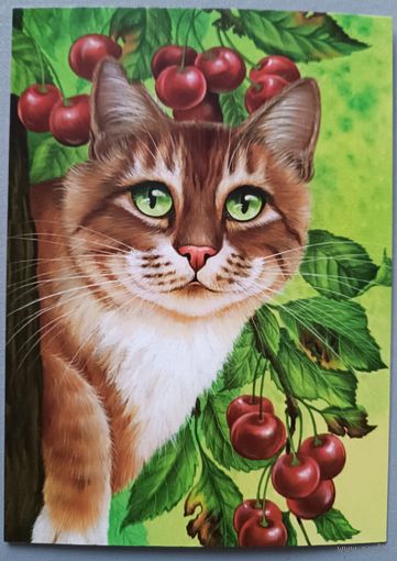 Кот и вишня. Ирина Гармашова. Авторская открытка, глянец