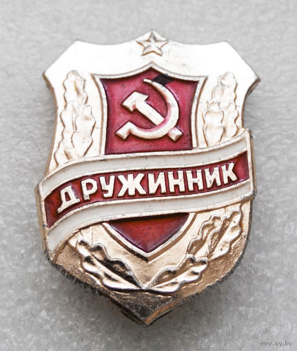 Знак. Дружинник O-P08 #0365