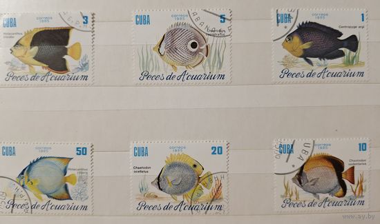РАСПРОДАЖА КОЛЛЕКЦИИ. Куба. марки "рыбы"