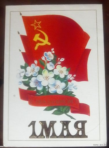 1985 год В.Демиданов 1 мая чистая