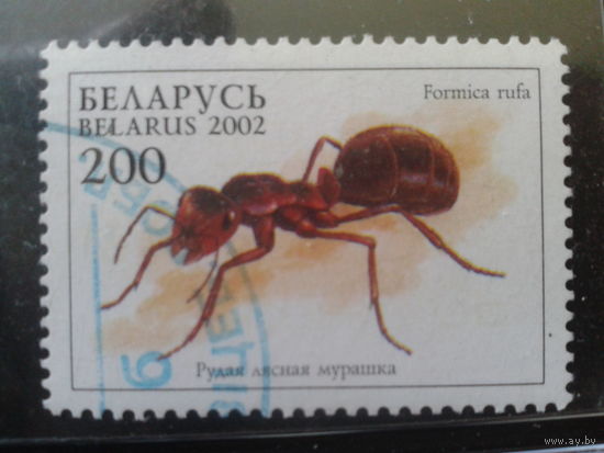 2002 Муравей