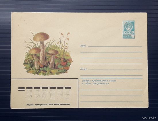 СССР 1979 ХМК худ.Игнатьев. Подберезовик.(2)