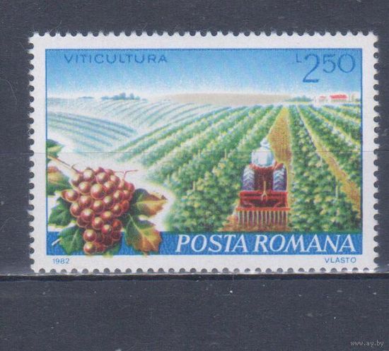 [451] Румыния 1982. Флора.Плоды.Ягоды.Фрукты.Виноград на почтовых марках. MNH