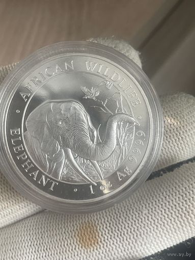 100 шиллингов 2018 сомали африканский слон . 1 унция серебра ( 1 oz ) в пруфе. низкий старт)