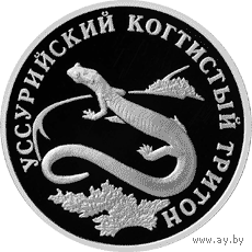Красная книга: Уссурийский когтистый тритон