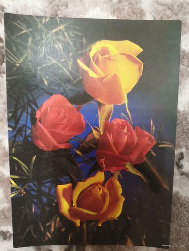 Открытка СССР чистая