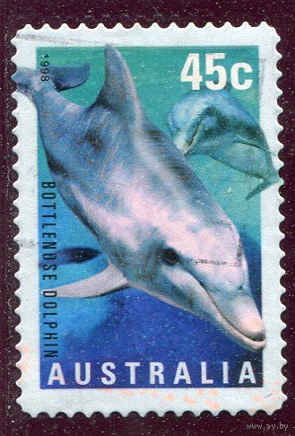 Австралия. Морская фауна