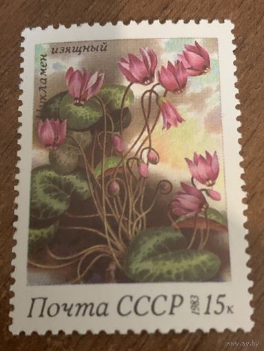 СССР 1983. Цикламен изящный. Марка из серии