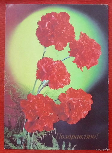 Поздравляю! Чистая. 1990 года. Костенко. 1371.
