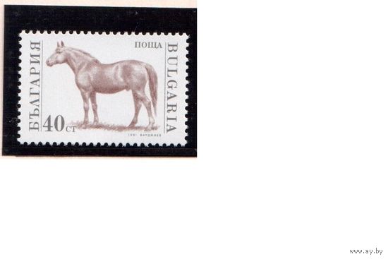 Болгария-1991,(Мих.3925)  ** , Лошади