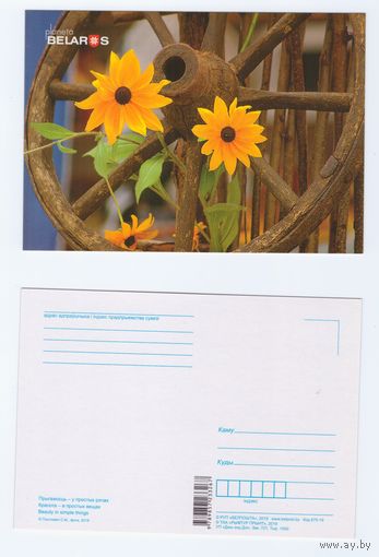 Беларусь. 2019. Планета Беларусь