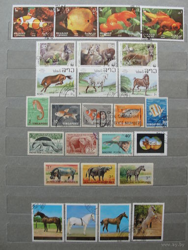 Продажа коллекции с 1 рубля! Фауна на почтовых марках мира.