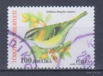 [532] Турция 2004. Фауна.Птицы.Королек. Гашеная марка.