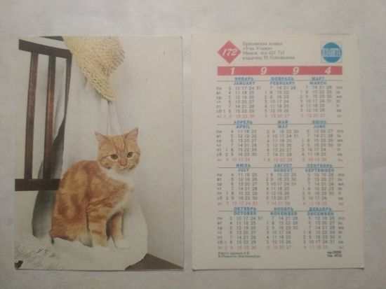Карманный календарик. Котик.1994 год