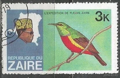 Заир. Птицы. Золотистая щурка. 1979г. Mi#590.