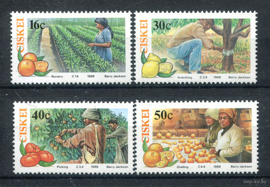 Сискей - 1988г. - Выращивание цитрусовых - 4 марки - полная серия, MNH [Mi 141-144]. #O-Se-Z-1-13