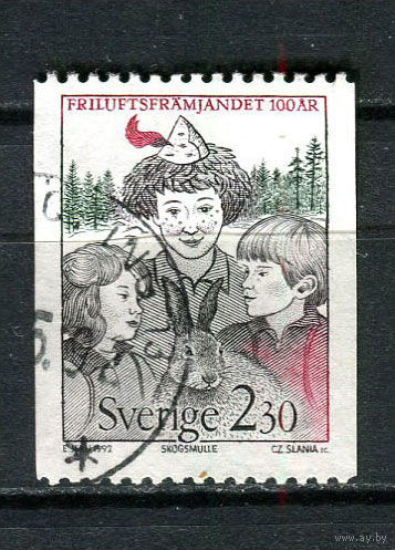 Швеция - 1992 - Ассоциации любителей активного отдыха - [Mi. 1704] - полная серия - 1 марка. Гашеная.  (Лот 65HM)-T2P13