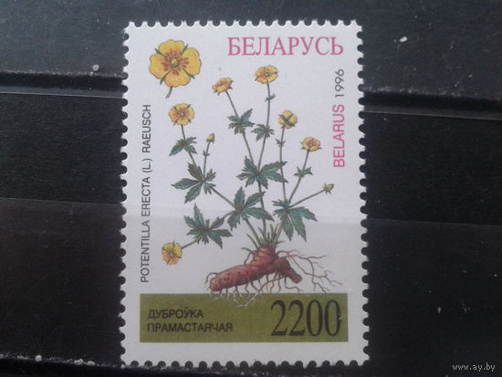 Беларусь, 1996. Дубровка прямостоячая**