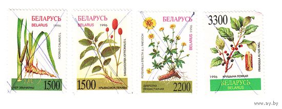 Беларусь 1996 Лекарственные растения Погашены перечеркиванием
