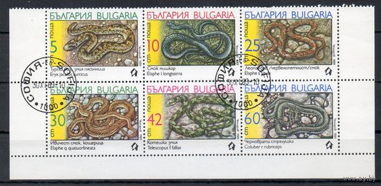 Змеи Болгария 1989 год серия из 6 марок в сцепке
