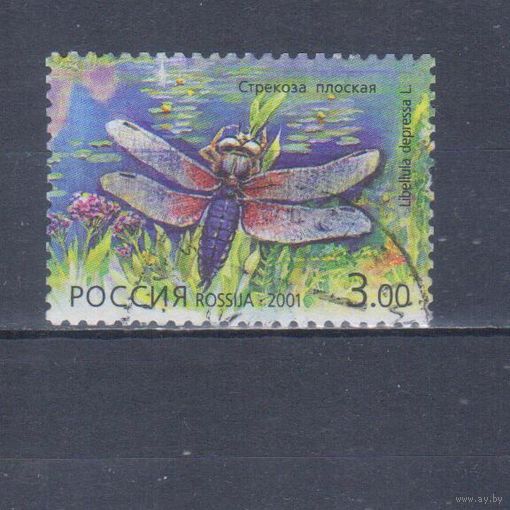 [971] Россия 2001. Фауна.Насекомые.Стрекоза. Гашеная марка.
