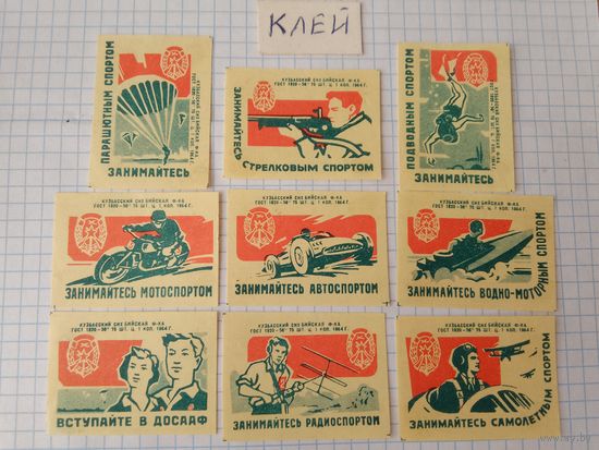 Спичечные этикетки ф.Бийск. ДОСААФ. 1964 год