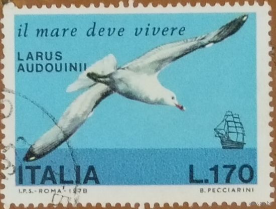 Италия 1978. Фауна. Птицы. Larus Audouinii