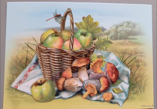 Корзина яблок. Открытка