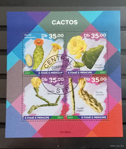 ЛИСТ ФЛОРА ЦВЕТЫ ГРИБЫ  СТО