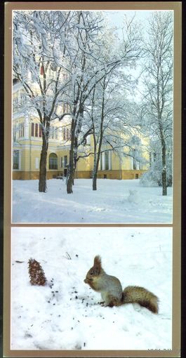 Гомель Белки