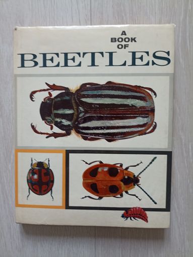 A book of beetles/ Книга о жуках/ На английском