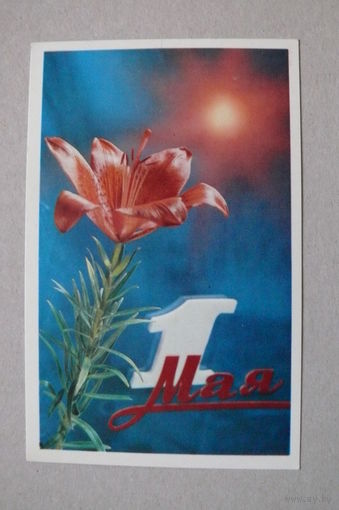 Ветчинин С.(фото), 1 Мая, 1972; чистая.