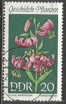 ГДР. Цветы. Лилии. 1969г. Mi#1459.