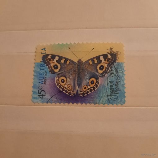 Австралия 1998. Фауна. Бабочки. Meadow Argus