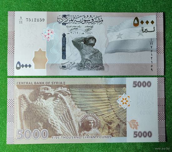 Сирия 5000 фунтов 2019 года UNC