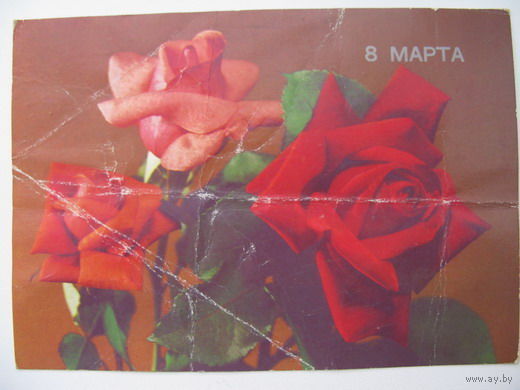 8 марта 1989