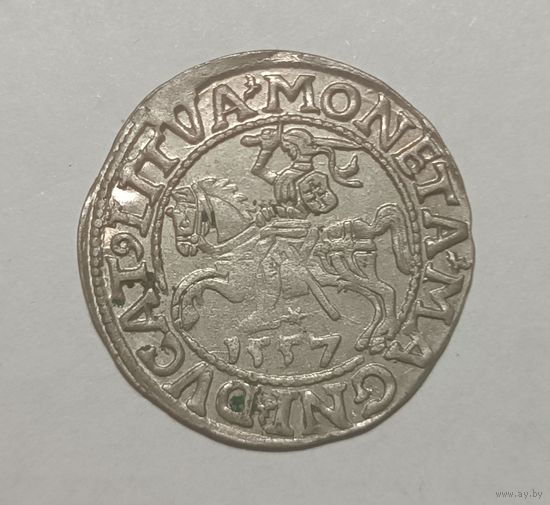 Паўгрошы Жыгiмонта II. 1557, Вильно. Очень хороший! Блеск