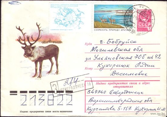 1979 год С.Куприянов Северный олень 79-63