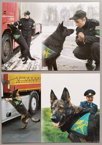 Служебные собаки. Открытки, глянец